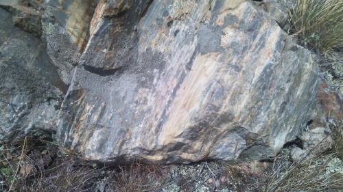 Гигантские зелёные валуны для ландшафтного дизайна весом более 5 тонн купить в Магасе